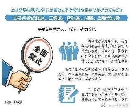 2025新澳精准正版免费大全和警惕虚假宣传,全面释义、解释与落实与警惕虚假宣传